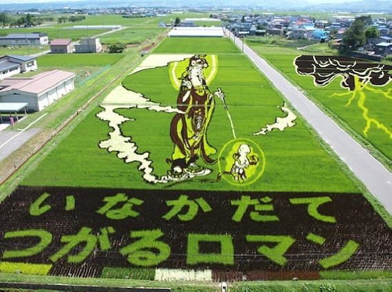 Тамбо - гигантские рисунки на рисовых полях