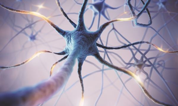 Ученые напечатали нервные клетки на 3D-принтере